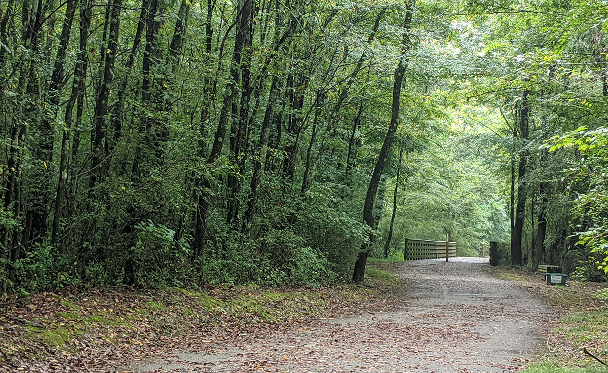 Paved walking trail through the woods with a wooden bridge in the distance